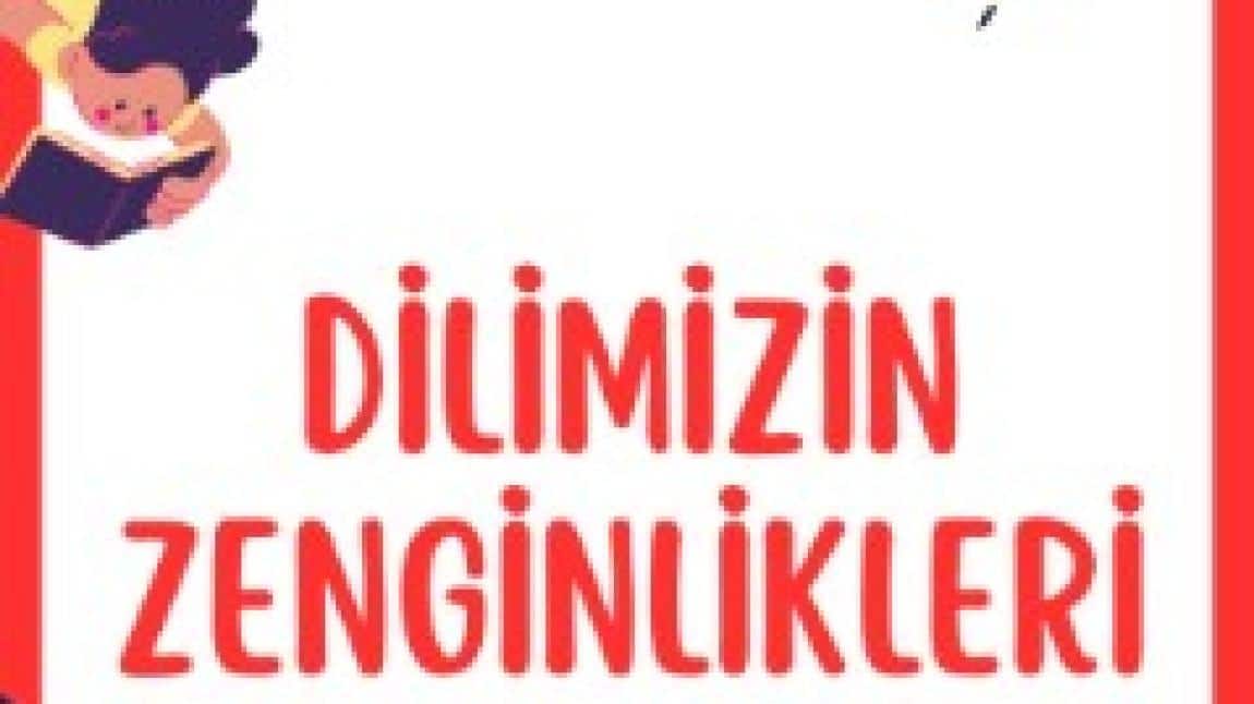 DİLİMİZİN ZENGİNLİKLERİ